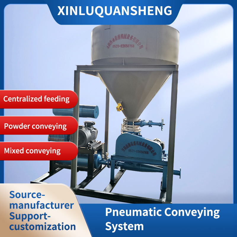 Pneumatic conveying system